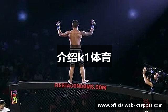 介绍k1体育